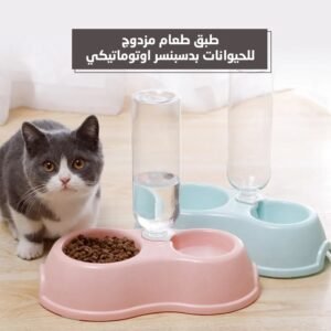 food dish for pets